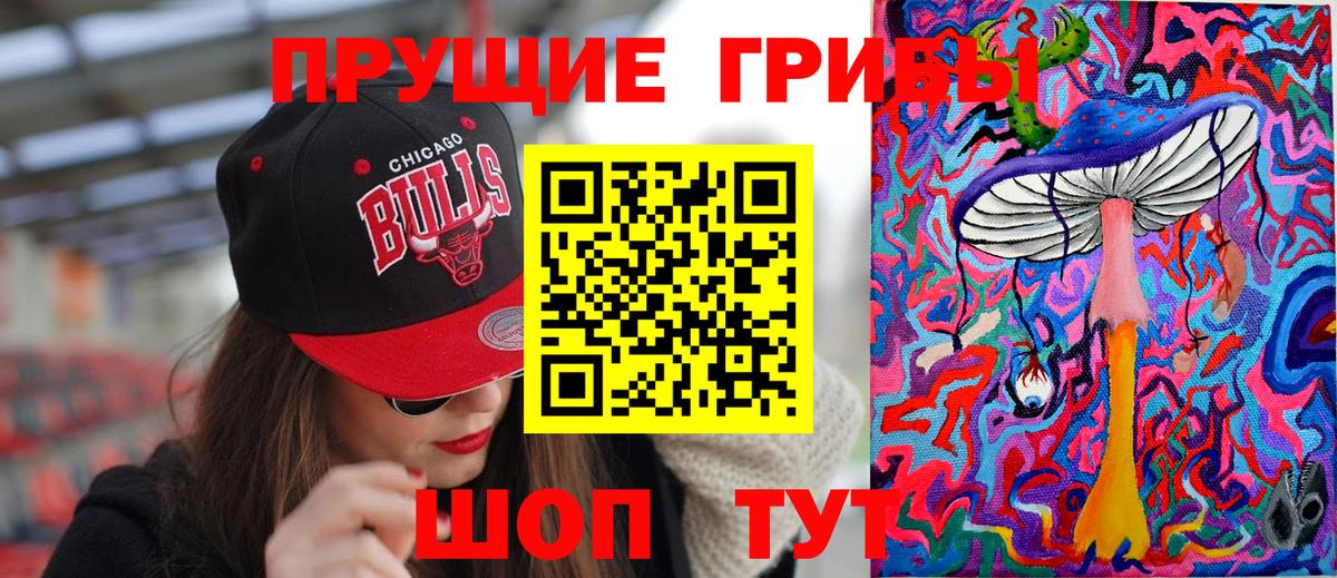 купить   Вход с VPN  Тимашёвск  Галлюциногенные грибы Psilocybine cubensis 